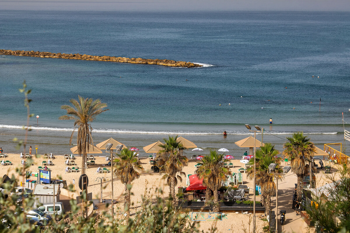 Пляж. - Argaman Табашник