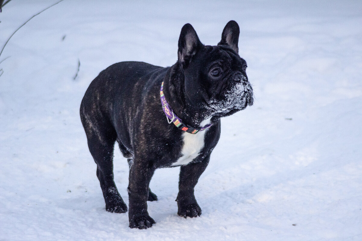 *** - Александр. AVG100 --- *** - Александр. AVG100 ---