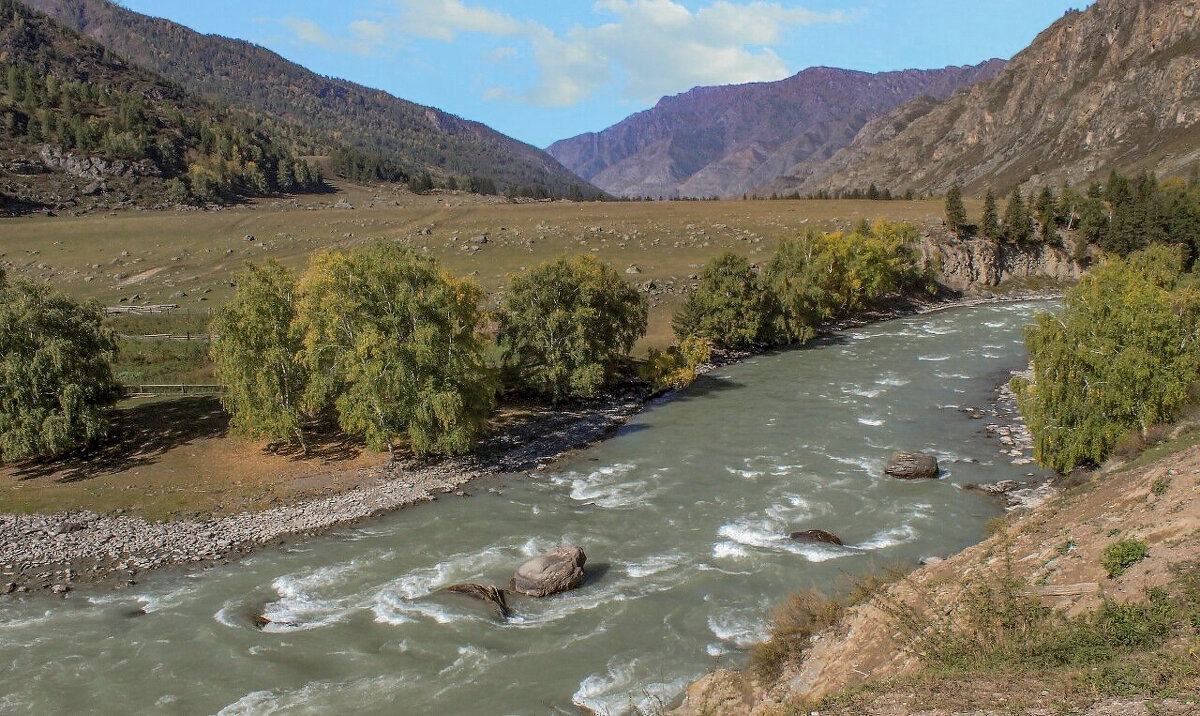 Речки Горного Алтая - елена беликова