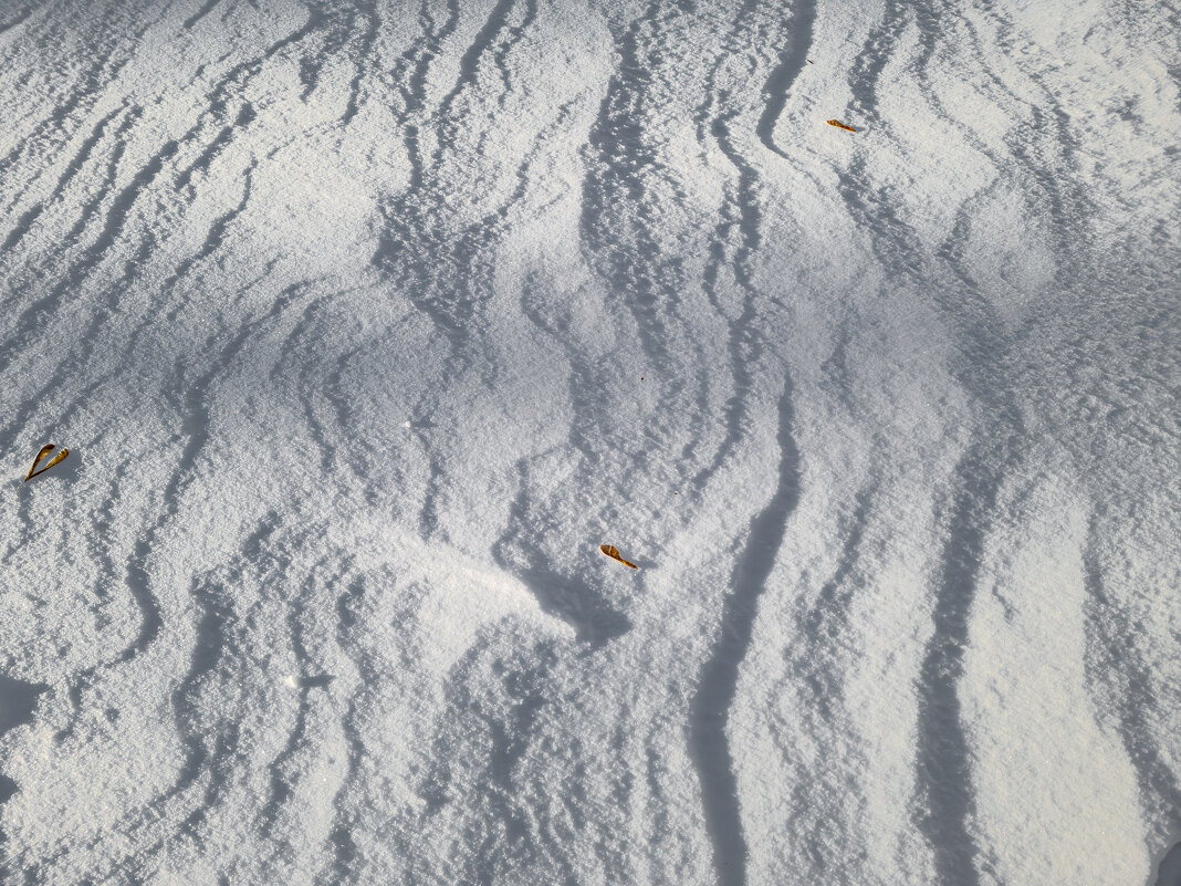 Снег. - Борис Калитенко Снег. - Борис Калитенко