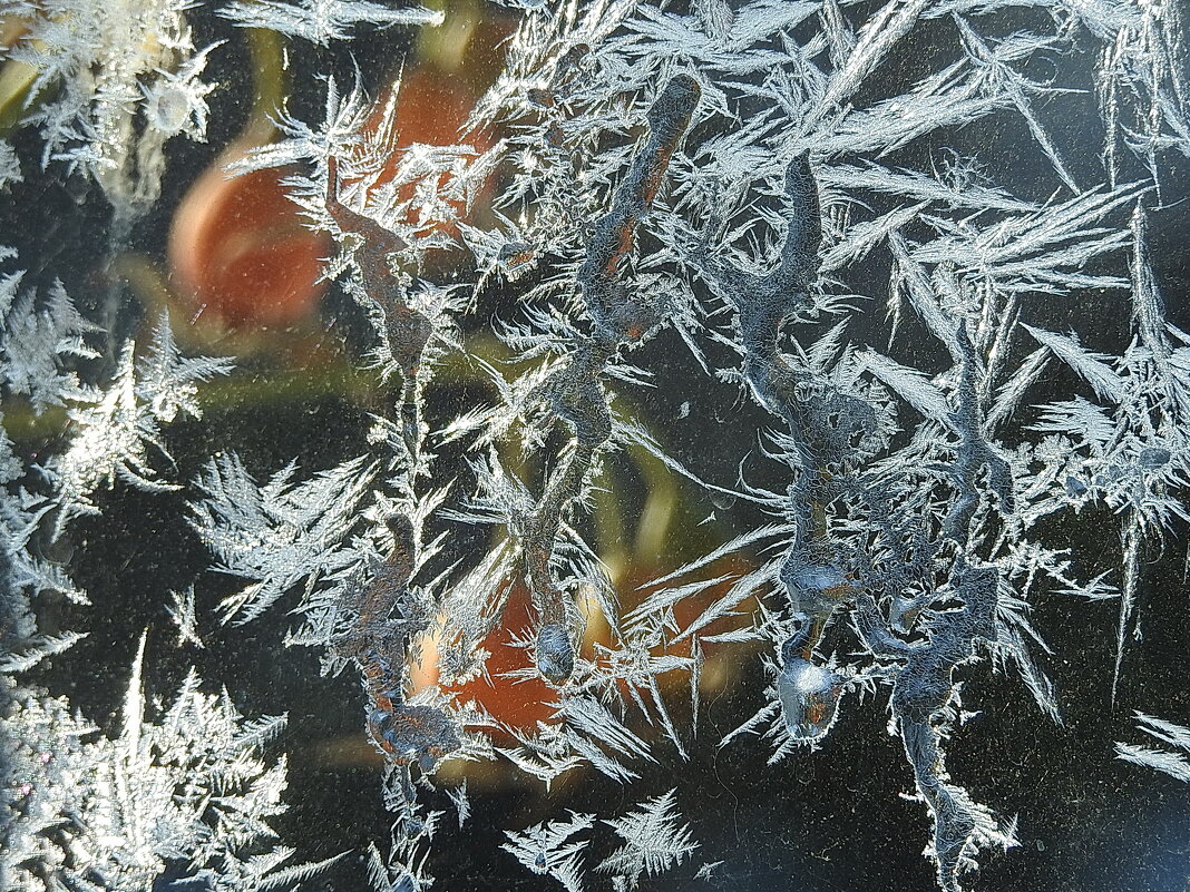 узоры зимы - ИННА ПОРОХОВА