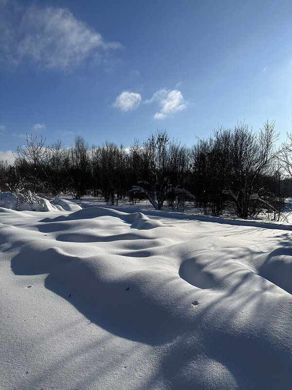 Мороз и солнце - VikArt Мороз и солнце - VikArt