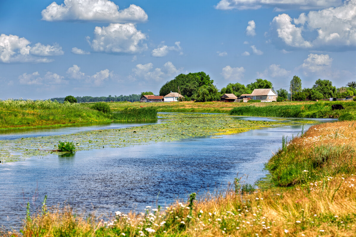 Река Битюг - валера36 . Река Битюг - валера36 .