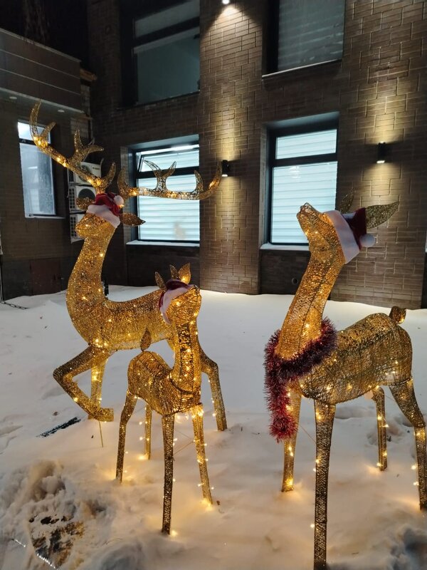 Олени - Динара Каймиденова