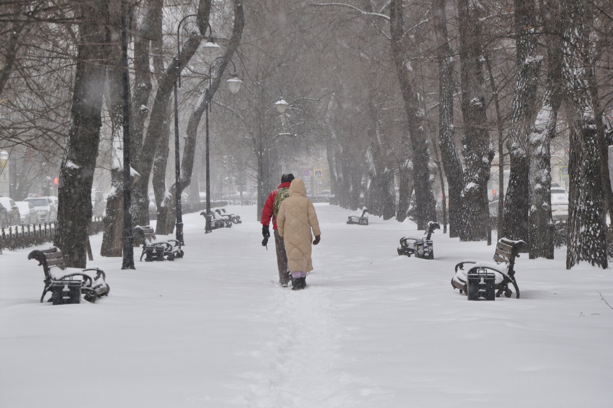 В зимнем сквере - Татьяна Машошина