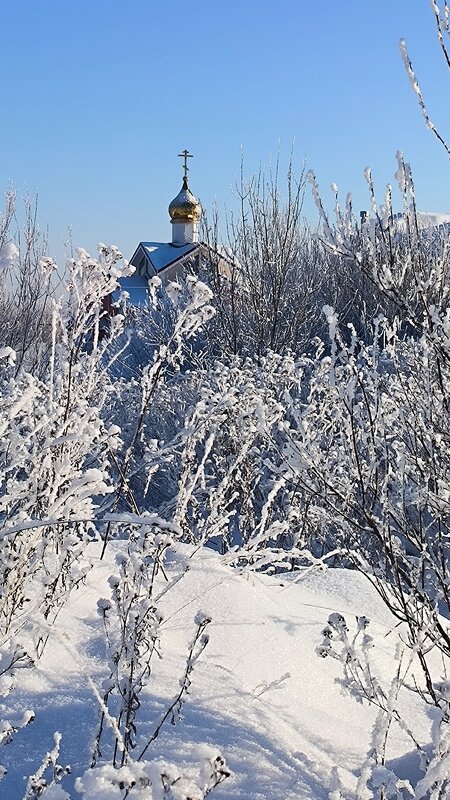 Морозный день в конце января. - Ольга 