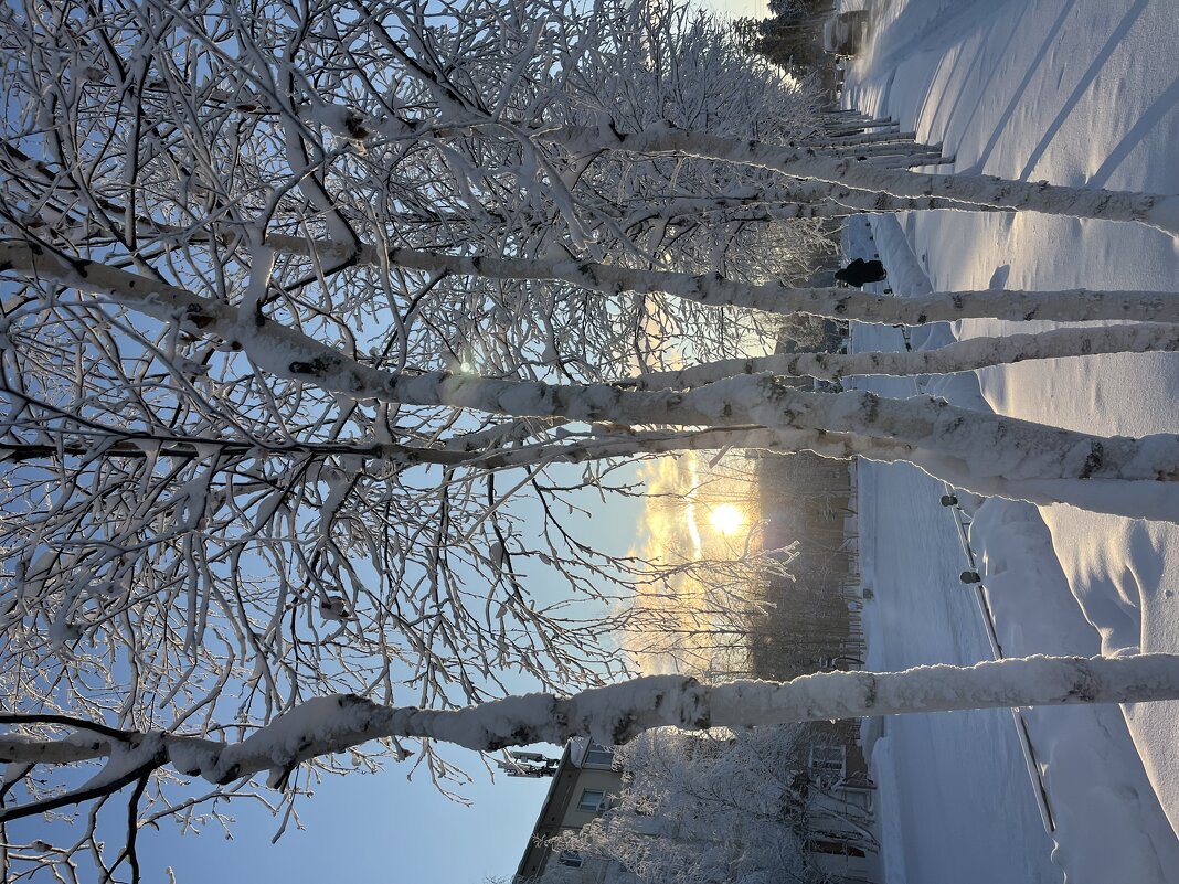 Мороз и солнце - Эльвира Белянская Мороз и солнце - Эльвира Белянская