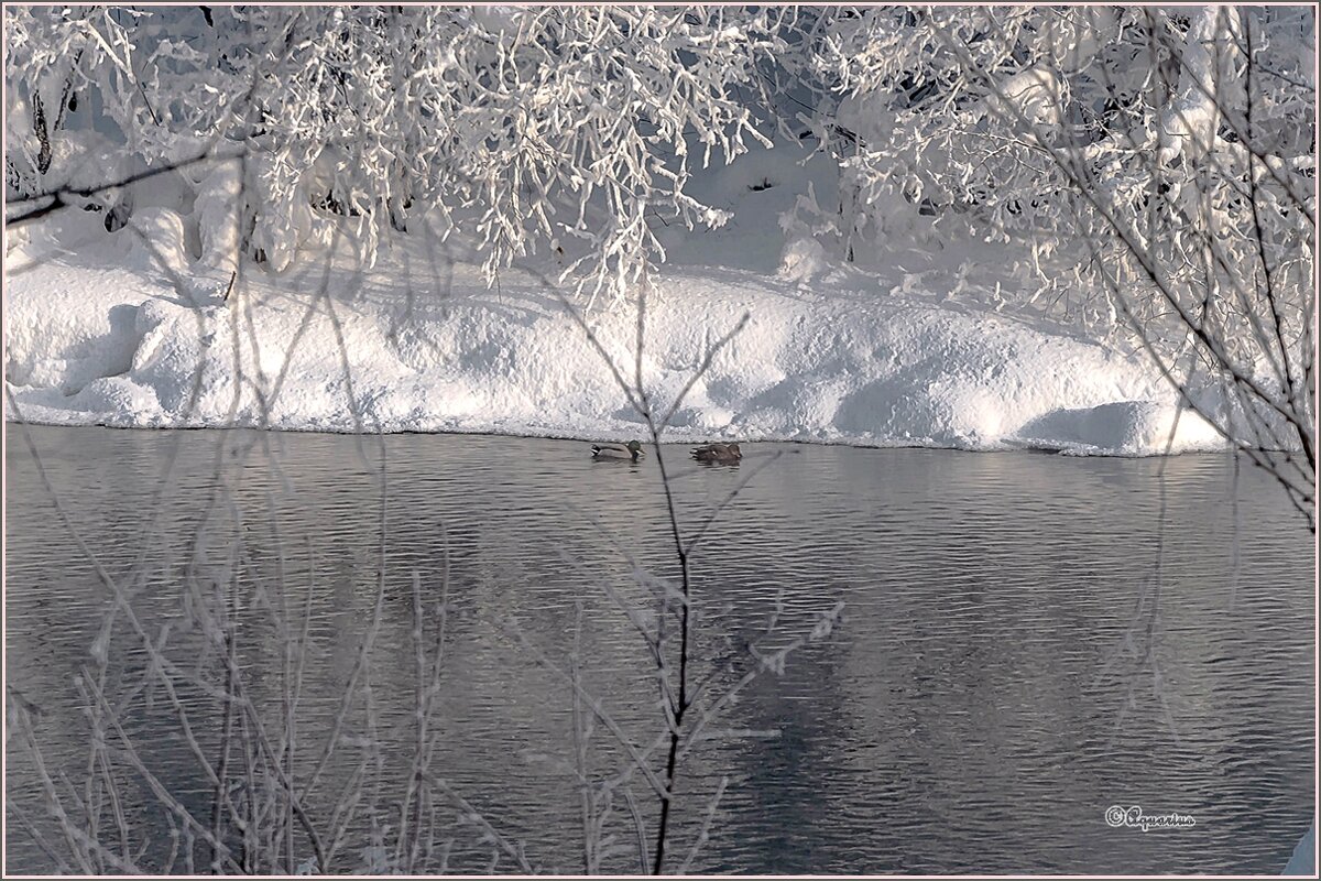 Про речку... - Aquarius - Сергей