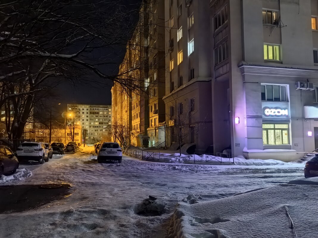 Возвращаясь с прогулки... - Olga Oskolkova