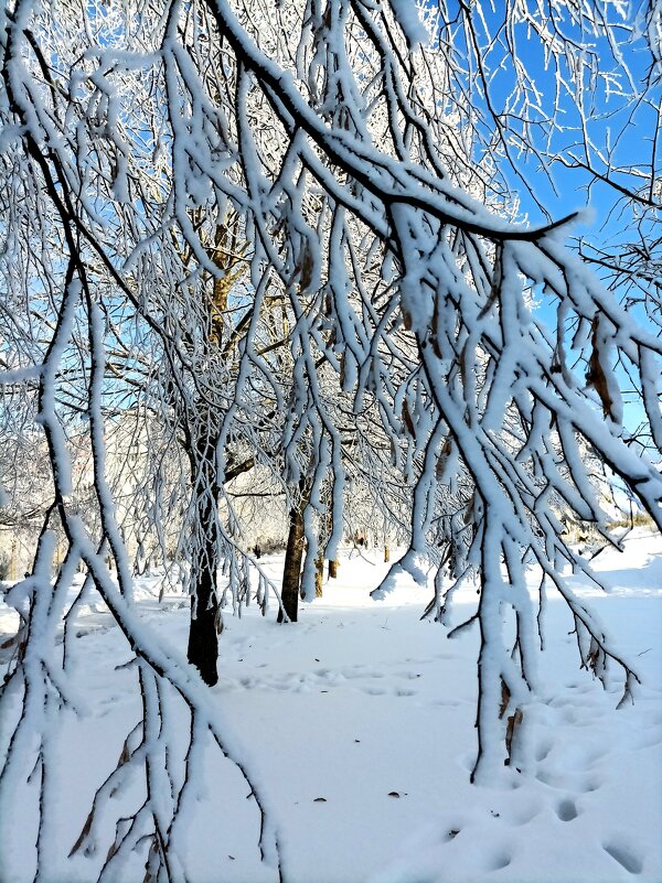 Мороз и солнце - Veera V