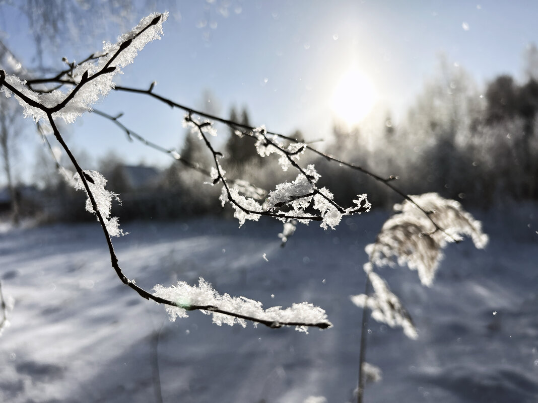 снег кружит - Дмитрий Иванов снег кружит - Дмитрий Иванов