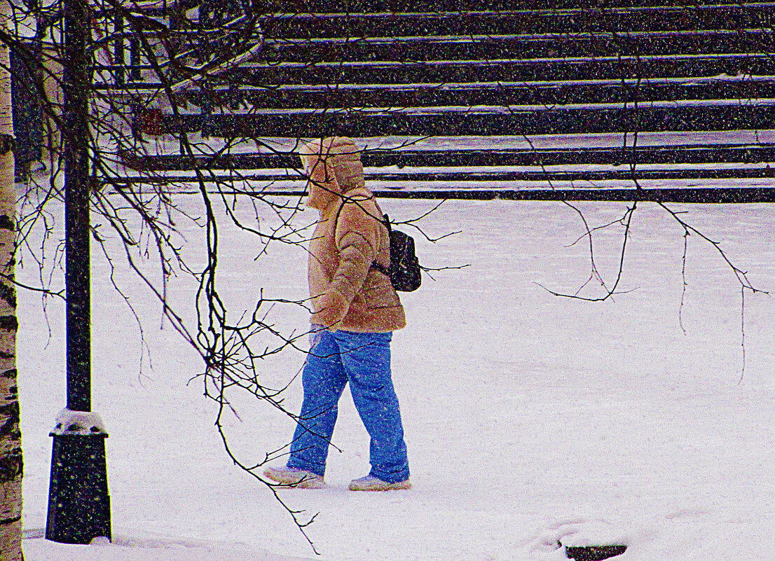 В последнее снежное утро января -26! - Владимир В последнее снежное утро января -26! - Владимир