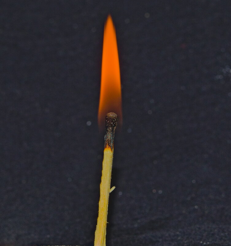 Спичка - Giant Tao /