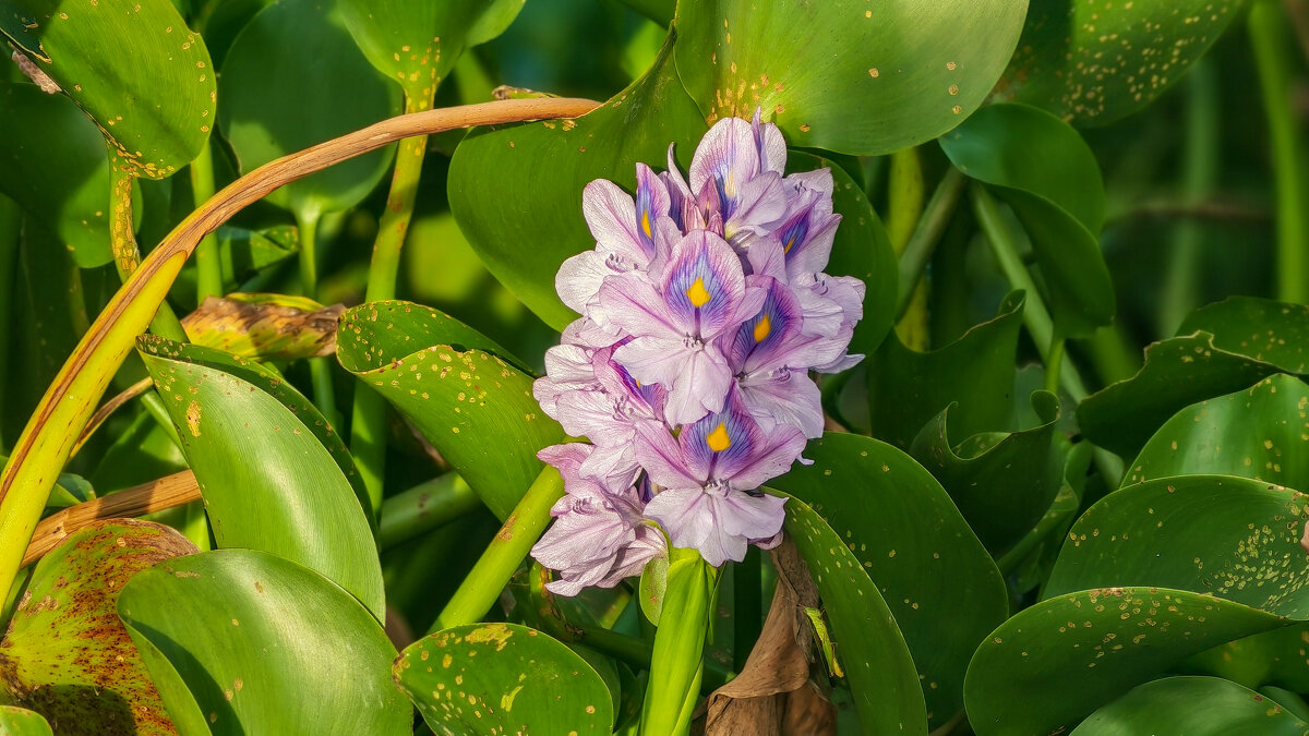 * - Dmitry i Mary S * - Dmitry i Mary S