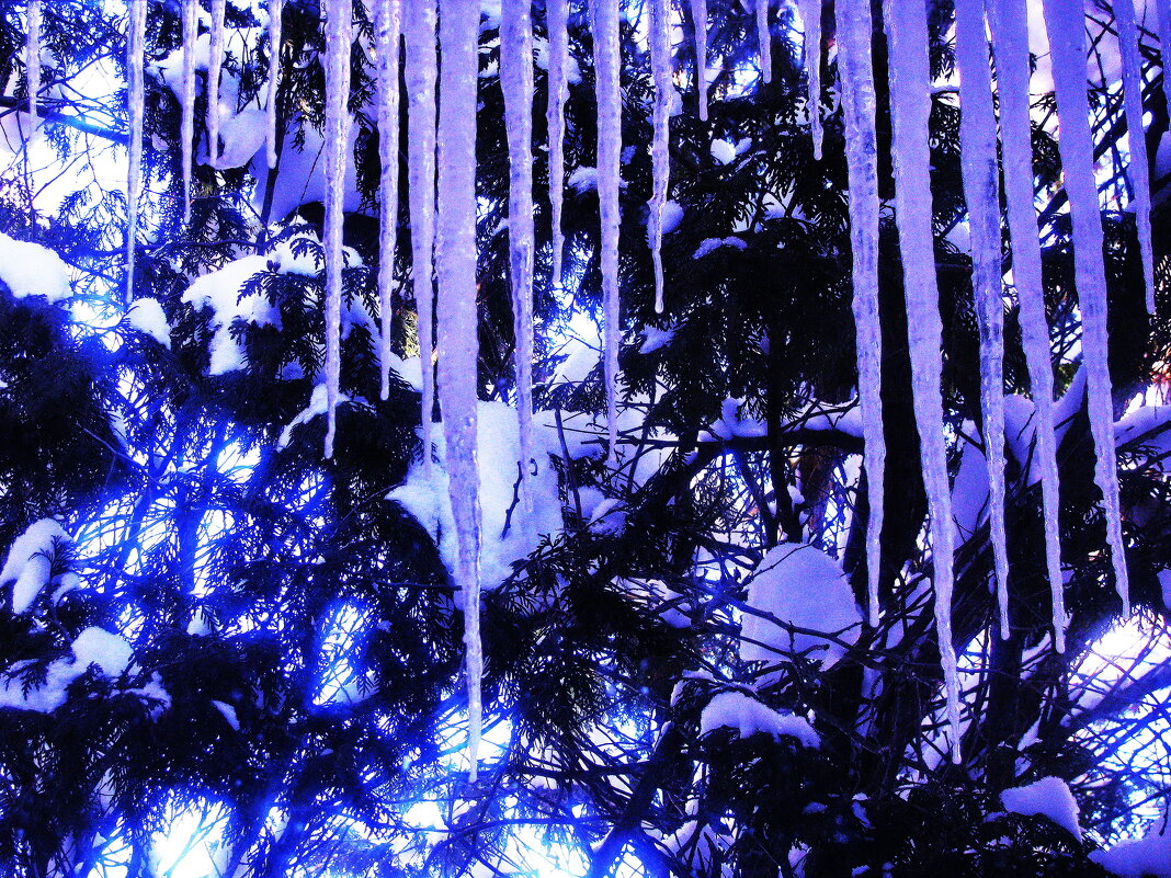 За окном - Людмила Смородинская За окном - Людмила Смородинская