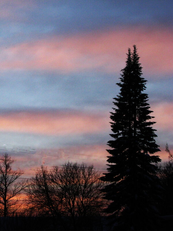 Красота вечерняя - Людмила Смородинская Красота вечерняя - Людмила Смородинская