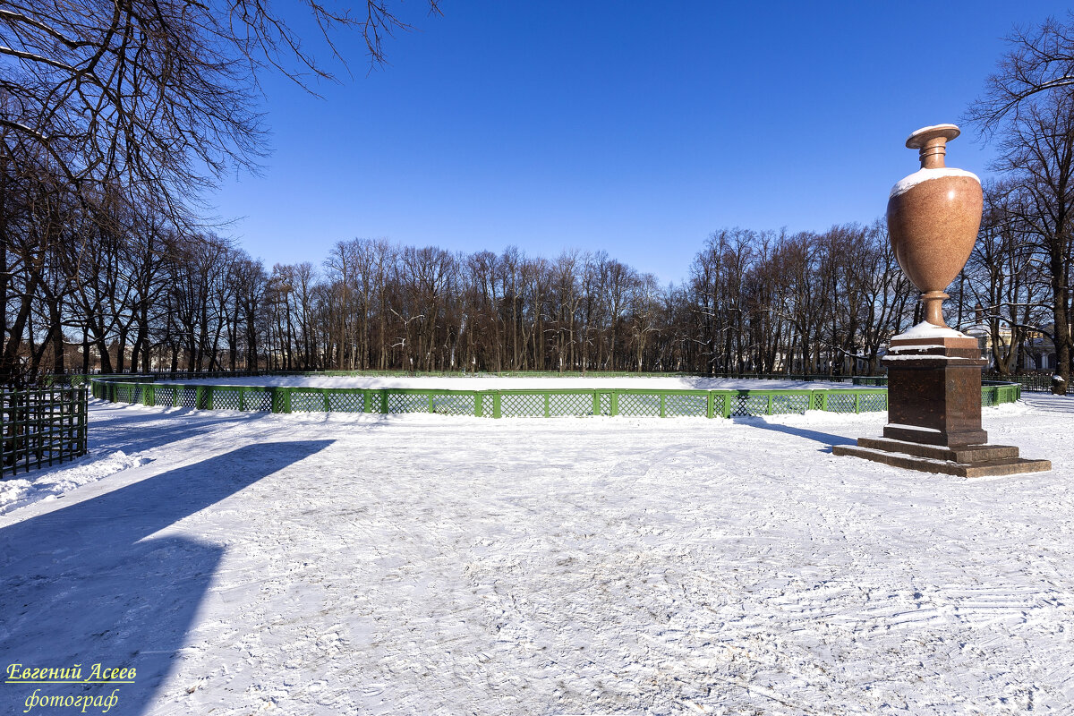 Зимнее утро в Летнем саду - Евгений 