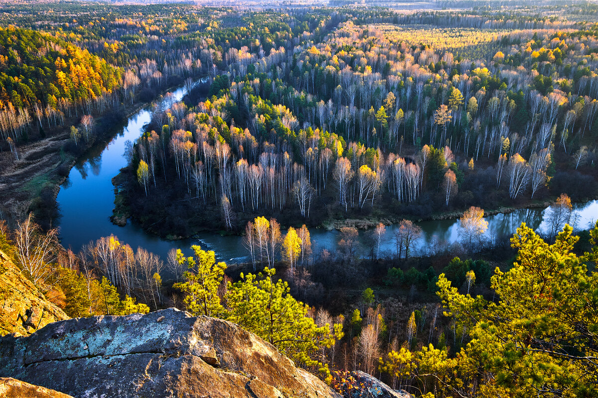 В лесах октябрь уж наступил. - Юрий кот
