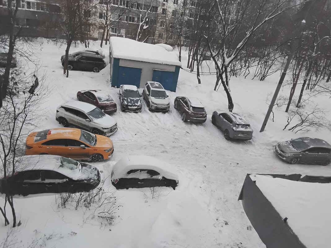 Первый день февраля - Дмитрий Никитин