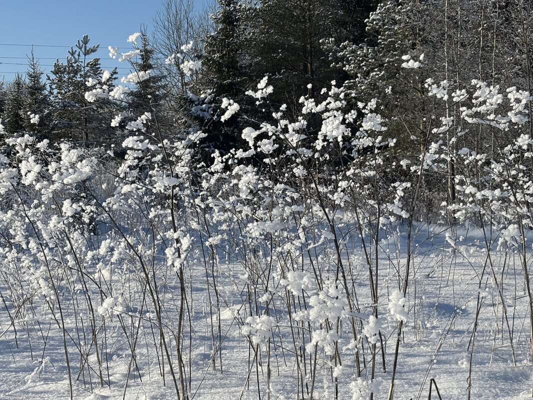 Снежные украшения - Ольга Савельева 