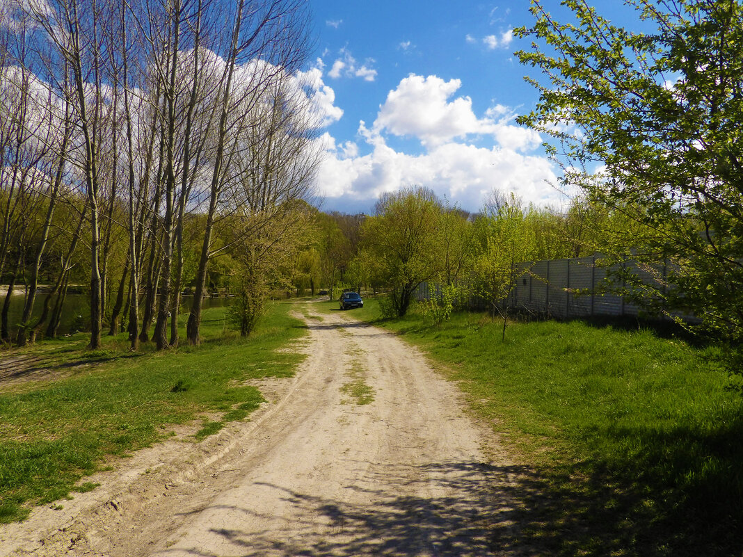 Весенний  пейзаж - Валентин Семчишин