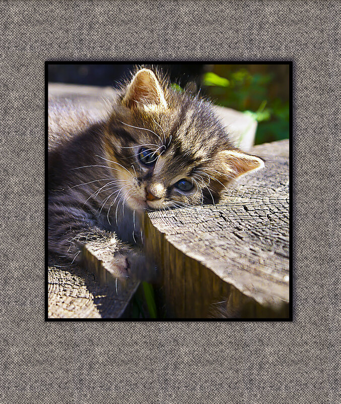 УСТРОИЛСЯ - Владимир Кроливец