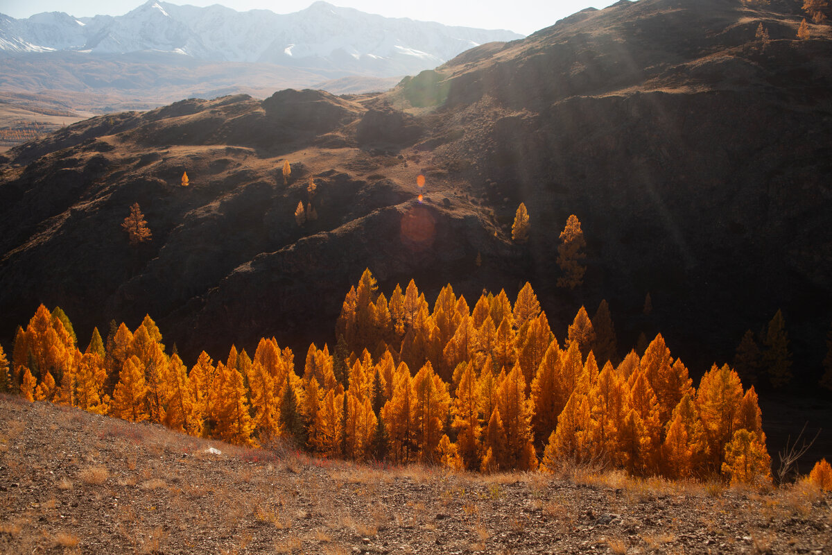 Прекрасный Алтай - Лида Лидина Прекрасный Алтай - Лида Лидина