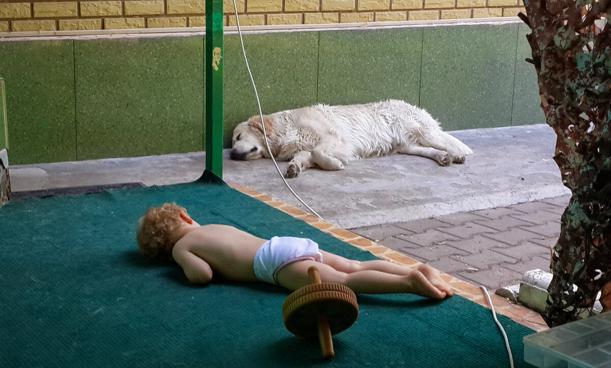 дети играли, дети устали - Ольга Косачова