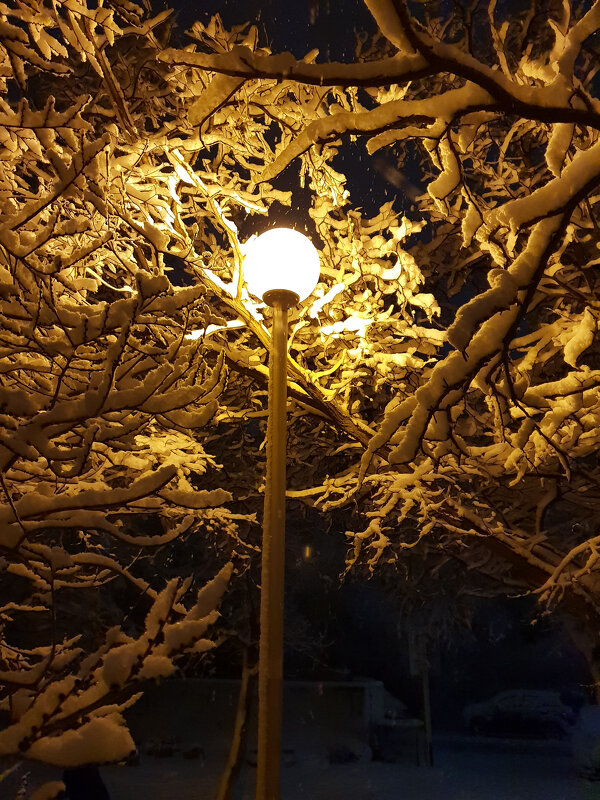 лишь один фонарь во тьме может изменить взгляд на мир - Ольга Косачова лишь один фонарь во тьме может изменить взгляд на мир - Ольга Косачова