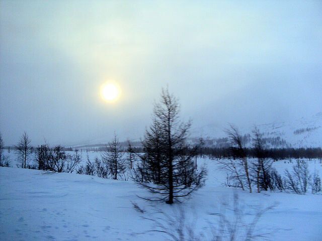 ПОЛЯРНАЯ НОЧЬ. ЯМАЛ - Tata Wolf