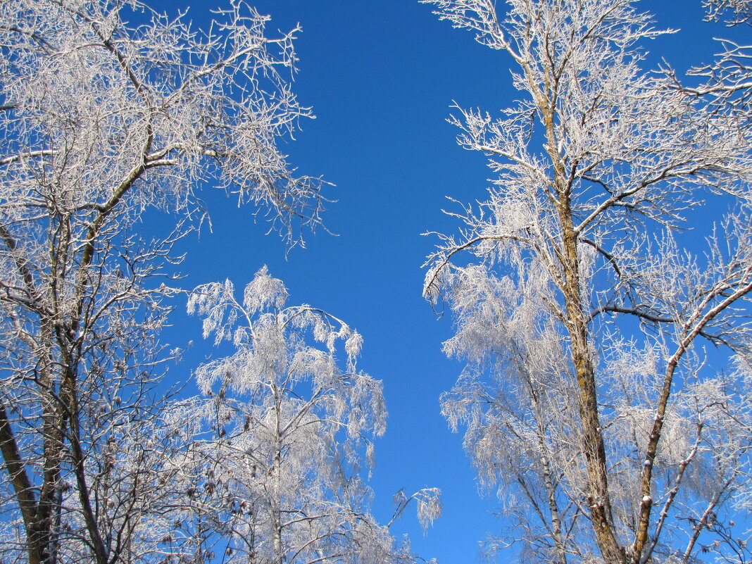 Изморозь... - Татьяна Гнездилова