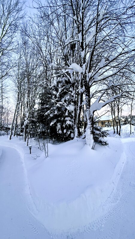 «Ах, как хороша собой эта ЗИМА..!»’26г. - Арина Невская