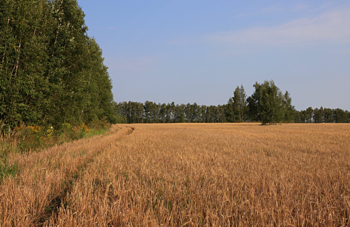 Зарайские окрестности - Владимир59 Зарайские окрестности - Владимир59