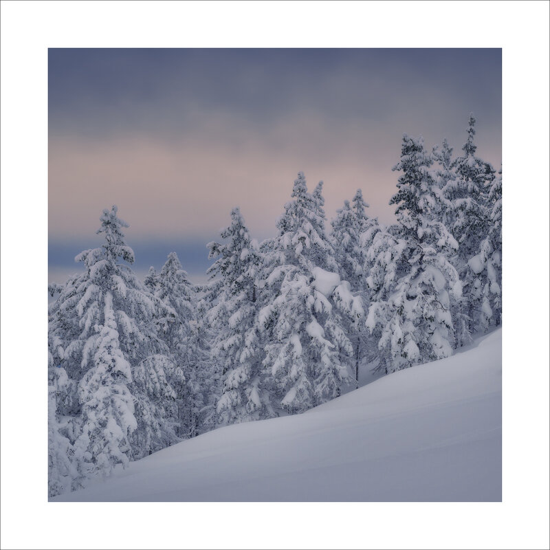 * - Александр Иванов