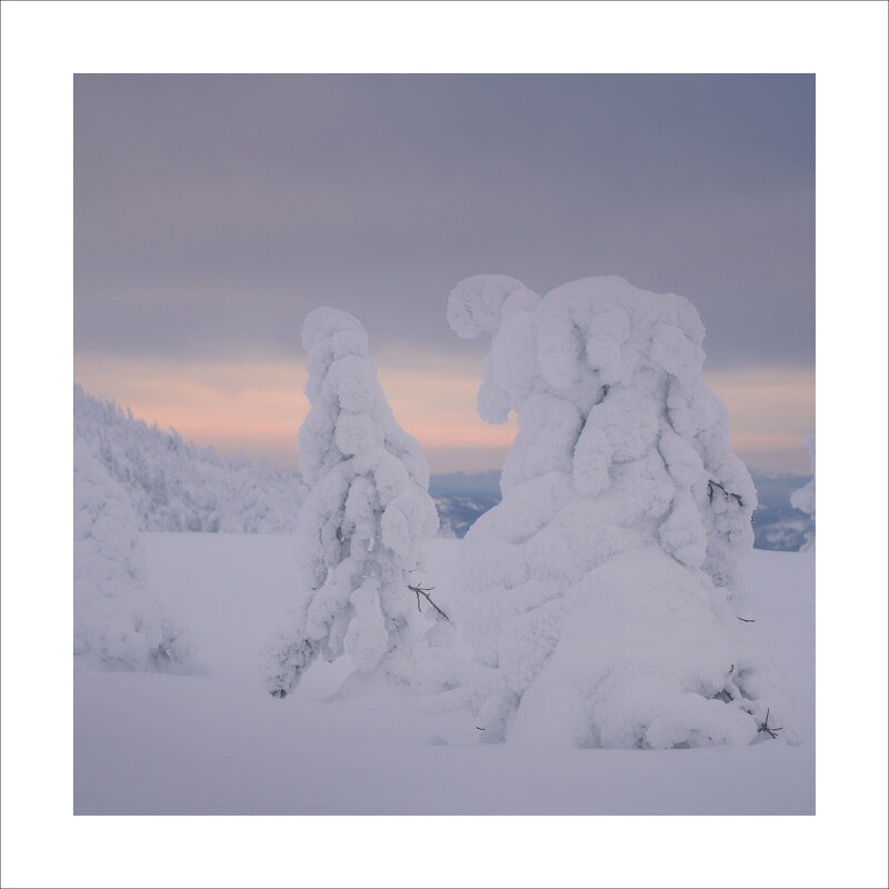 * - Александр Иванов