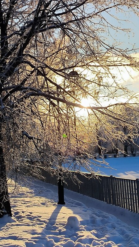 Привет, февраль! - Ольга Привет, февраль! - Ольга