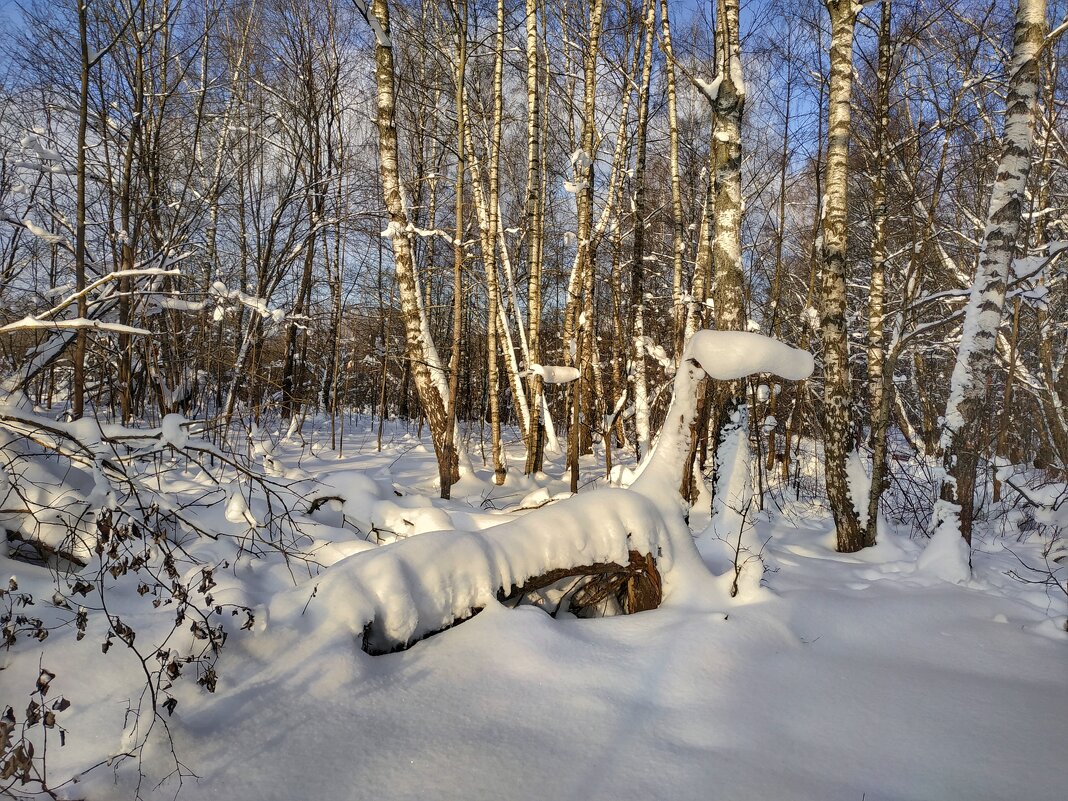 обитатели зимнего леса - Валентина. .