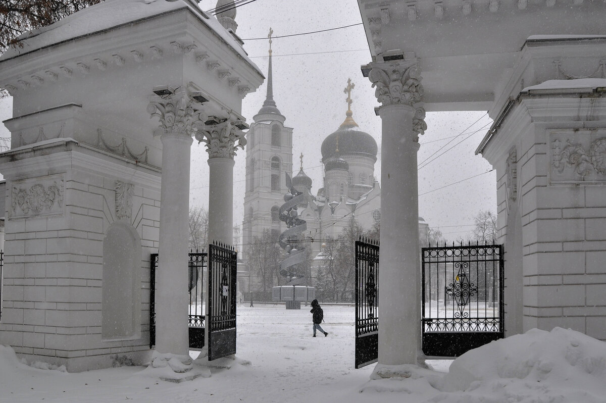 Зима случилась в последний день января - Татьяна Машошина Зима случилась в последний день января - Татьяна Машошина