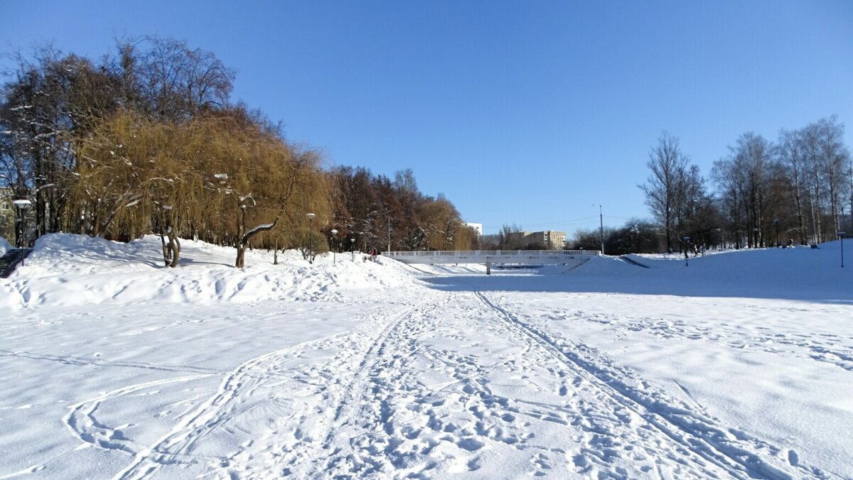 Зимний парк. - Милешкин Владимир Алексеевич 