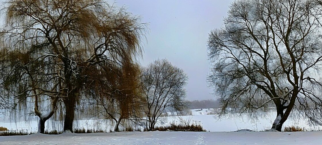 На берегу озера - Игорь Сычёв