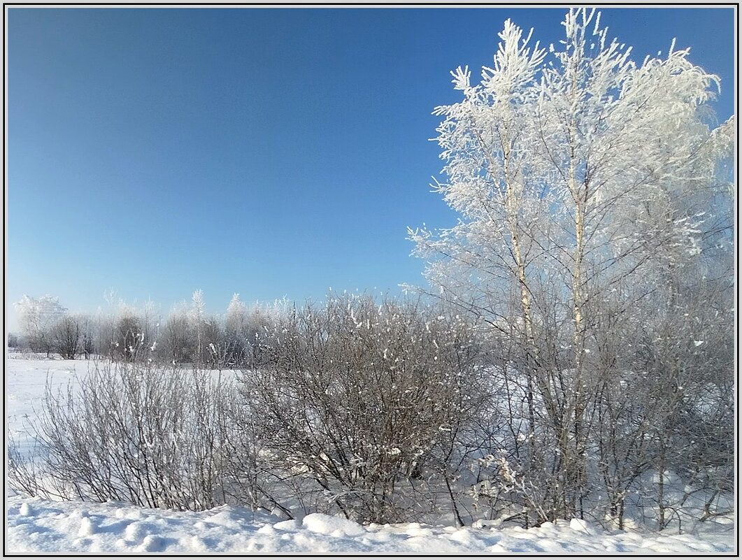 Мороз и солнце - Ольга Довженко Мороз и солнце - Ольга Довженко