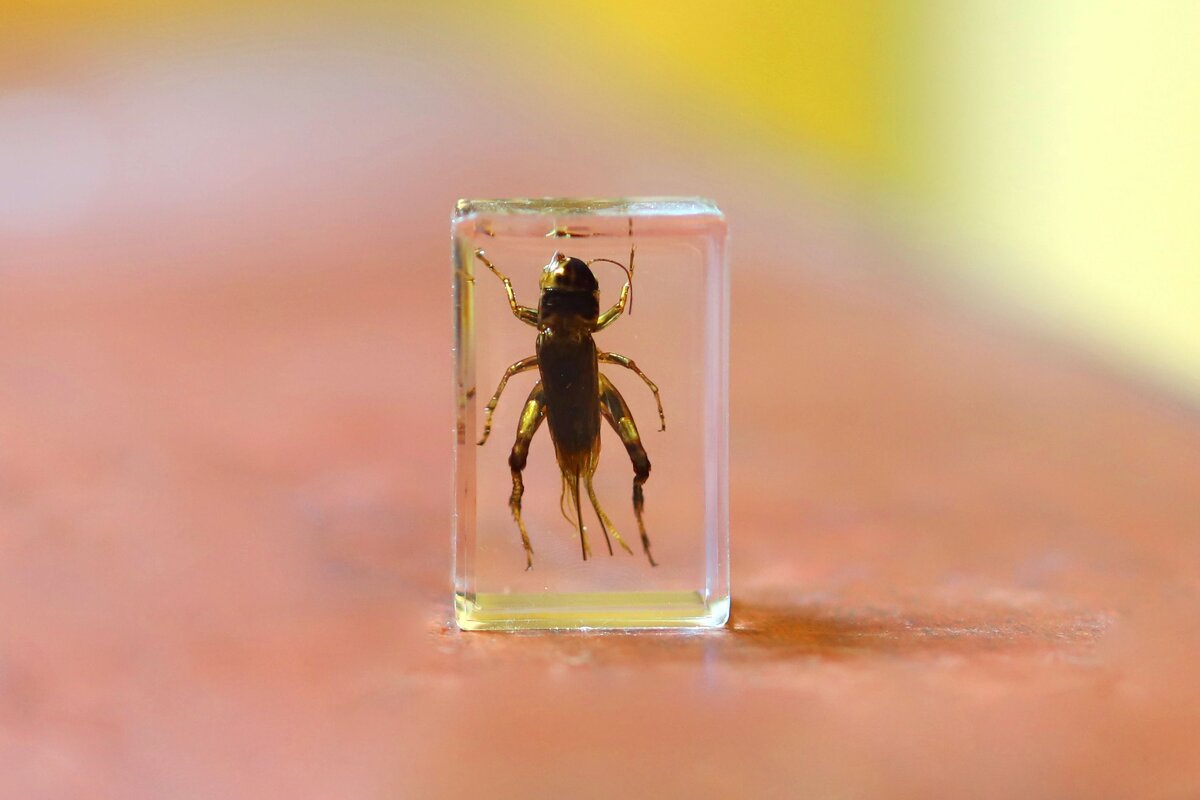 Sv - Андрей Л. В.