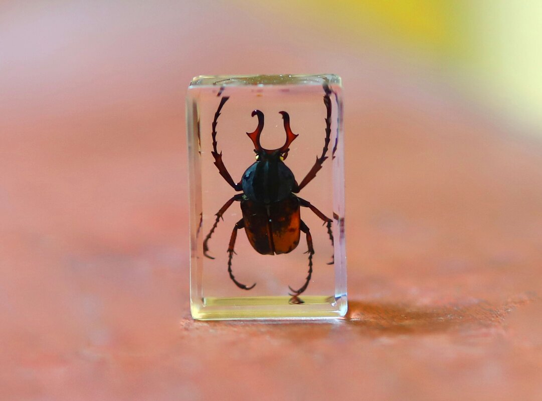 Zh - Андрей Л. В. Zh - Андрей Л. В.