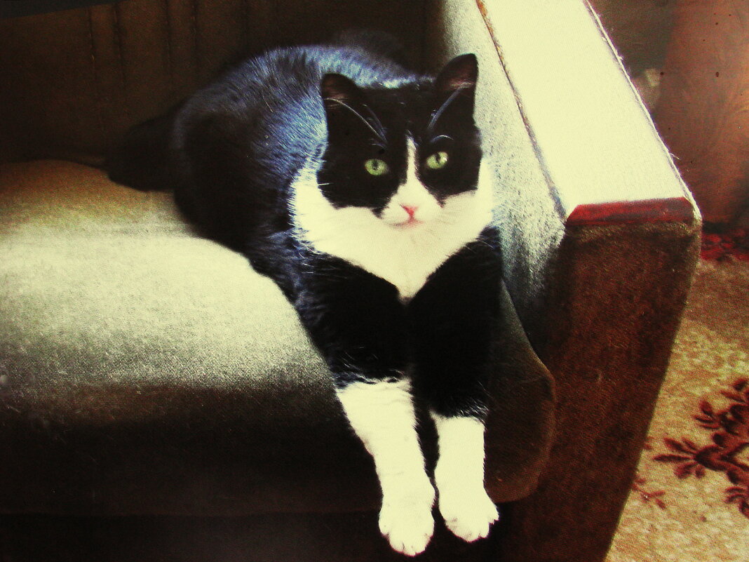 Дома лучше - Людмила Смородинская Дома лучше - Людмила Смородинская