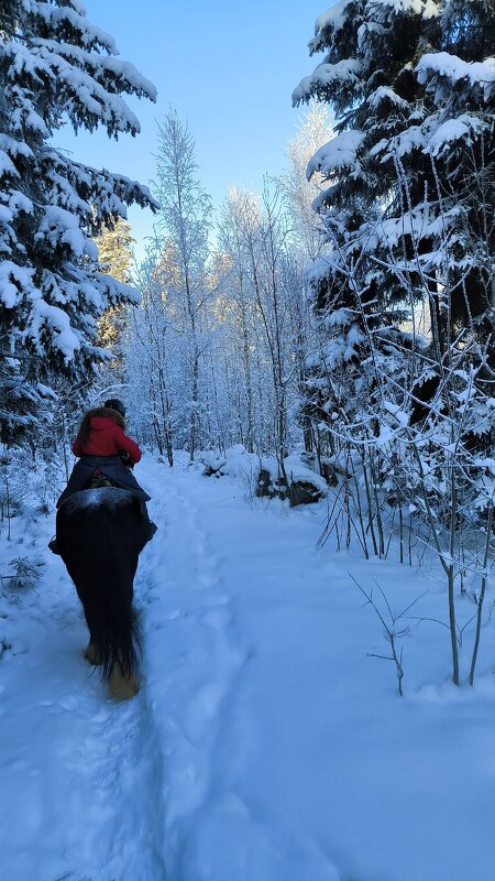 Воскресная прогулка. - Ольга 