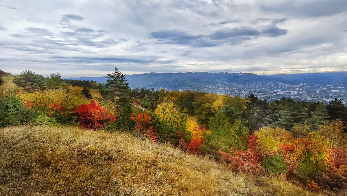 Осеннее разноцветье - Мариша 