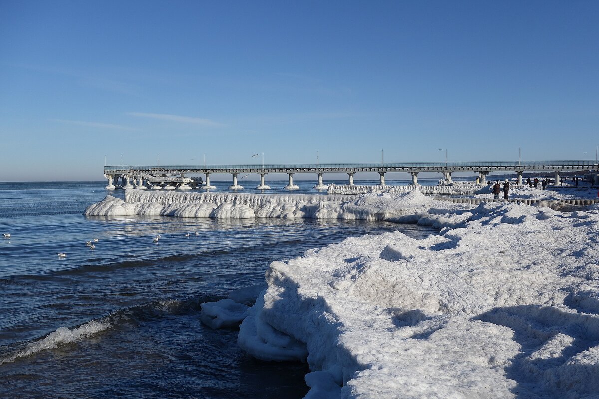 Зеленоградск, 31 января 2026 года - Рита Симонова