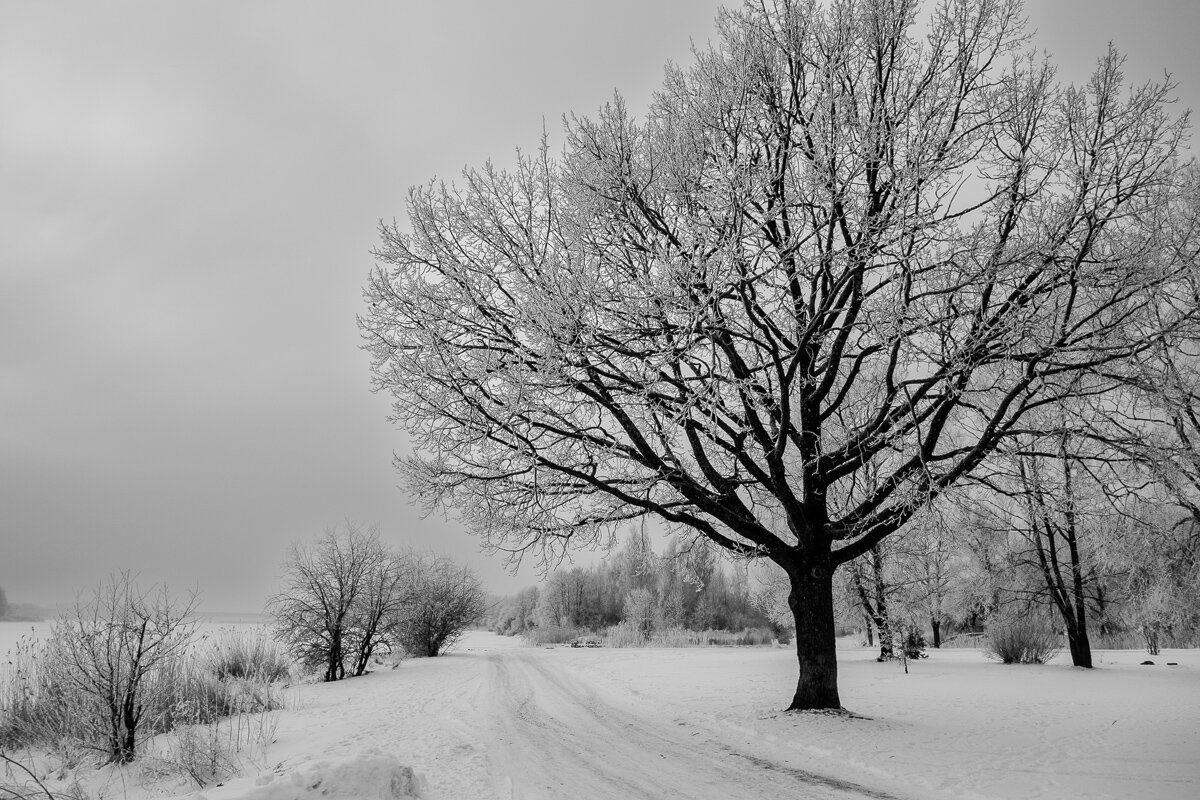 *** - Геннадий Порохов *** - Геннадий Порохов