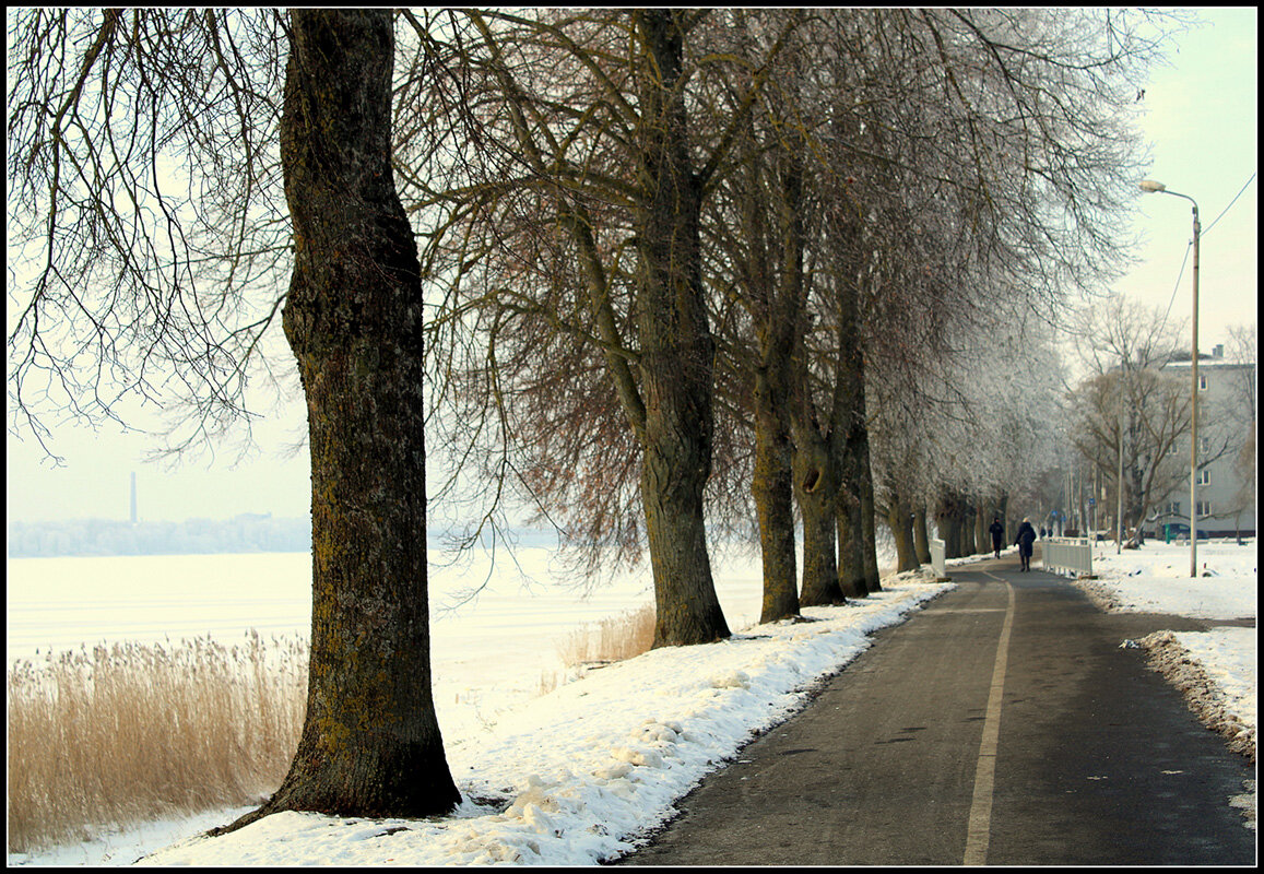 Зимний променад... - Aleksandr Gal