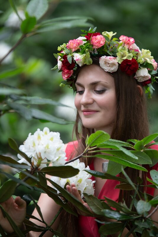 * - Евгений Ваулин